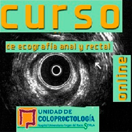 Curso online de Ecografía Anal y Rectal. Edición 2025