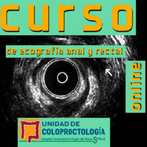 Curso online de Ecografía Anal y Rectal. Edición 2026